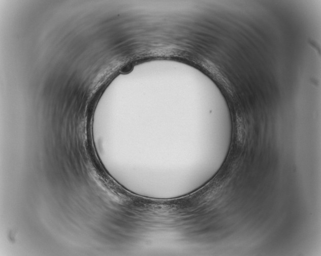 X0000102470486200808291608