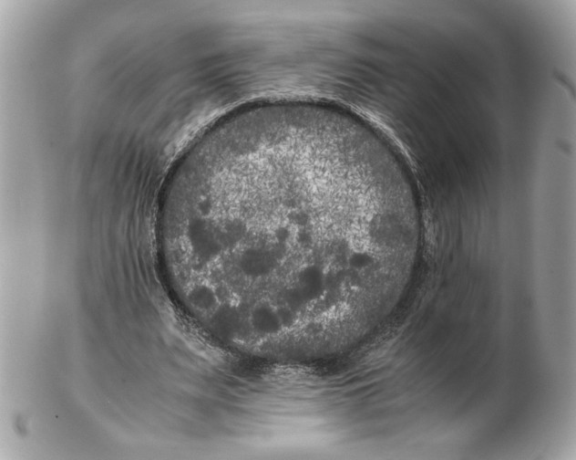 X0000102470487200808291608