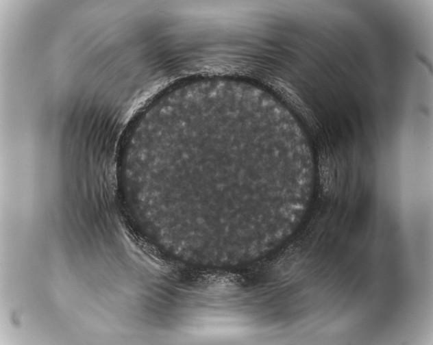 X0000102470488200808291608