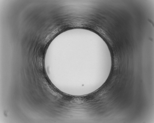 X0000102470489200808291608