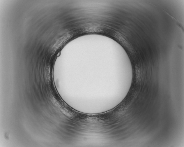 X0000102470490200808291608