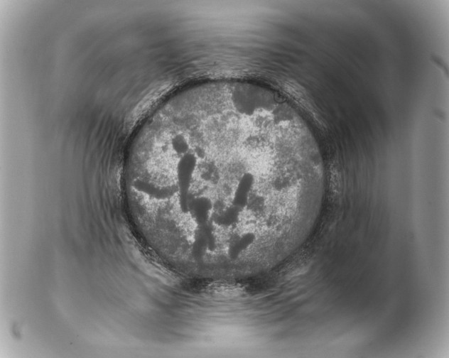 X0000102470491200808291608