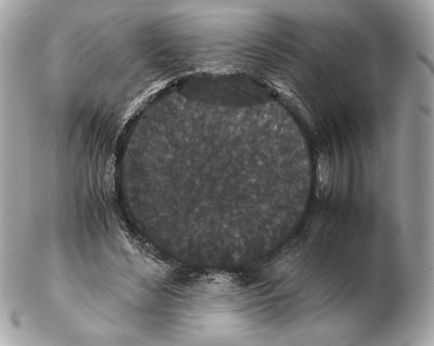 X0000102470492200808291608