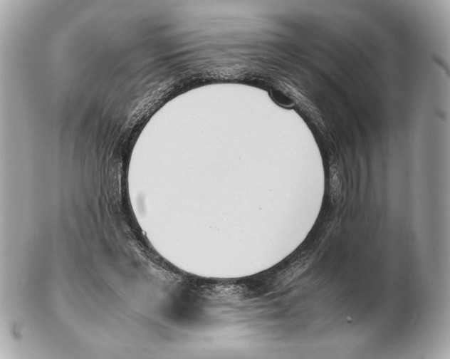 X0000102470493200808291608