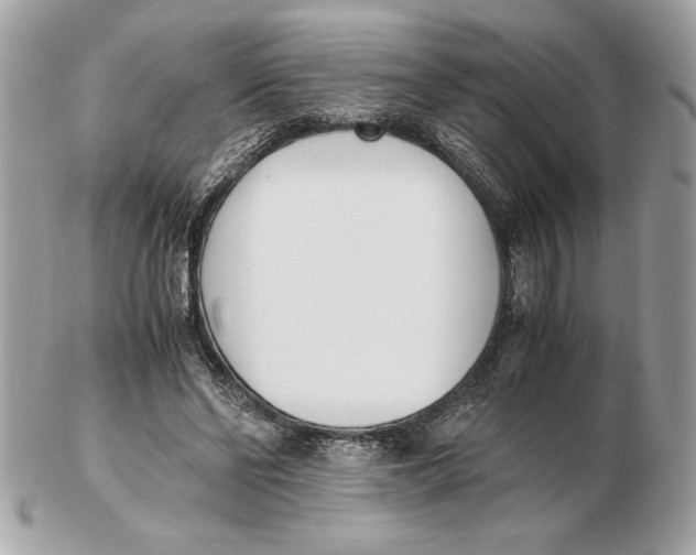 X0000102470494200808291608