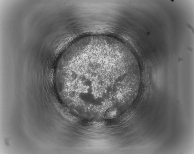 X0000102470495200808291608