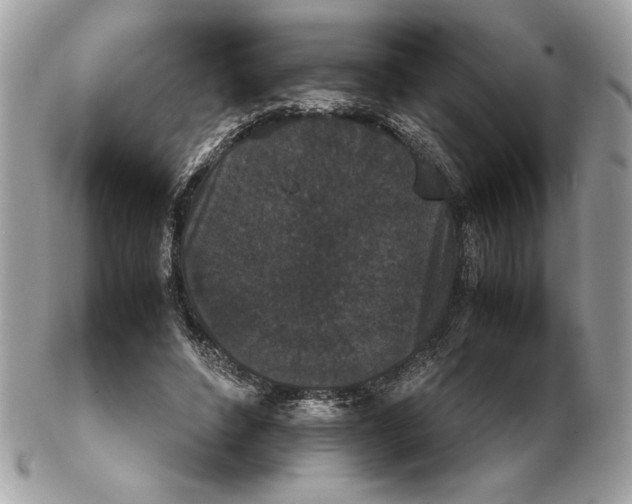 X0000102470496200808291608