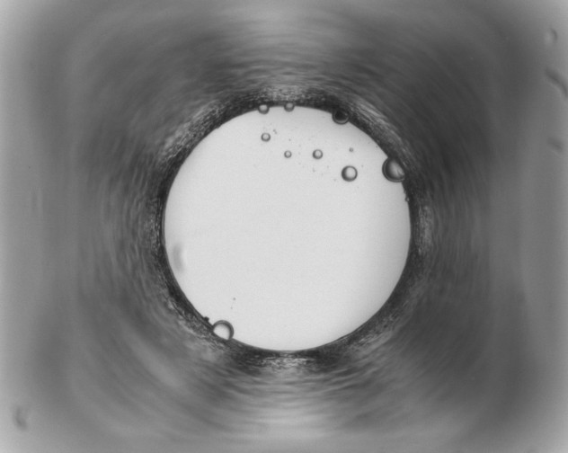X0000102470497200808291608