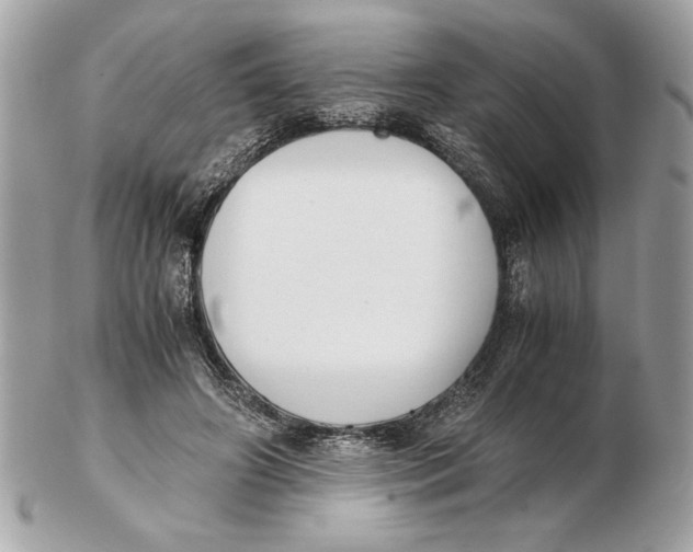 X0000102470498200808291608