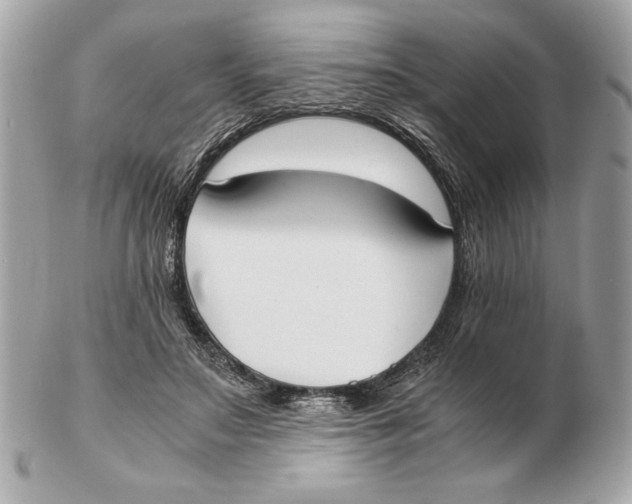 X0000102470499200808291608