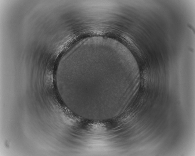 X0000102470500200808291608