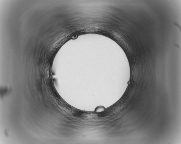 X0000102470501200808291608