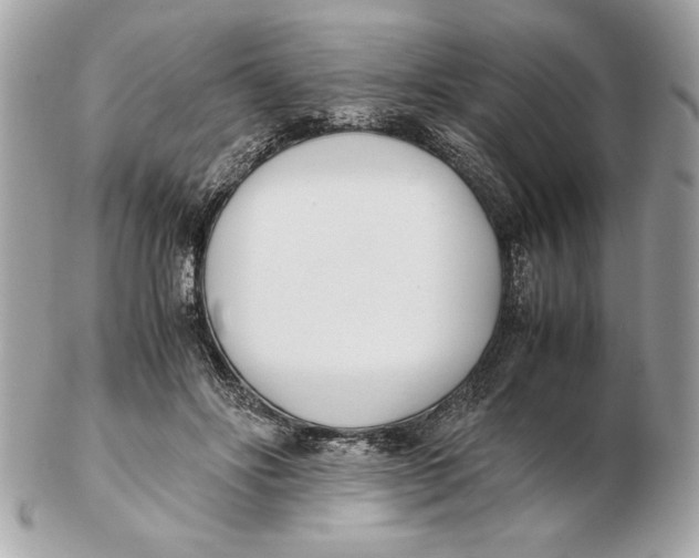 X0000102470502200808291608