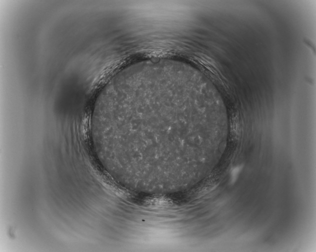 X0000102470503200808291607