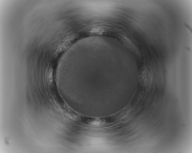 X0000102470504200808291607