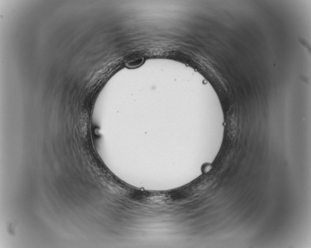 X0000102470505200808291607