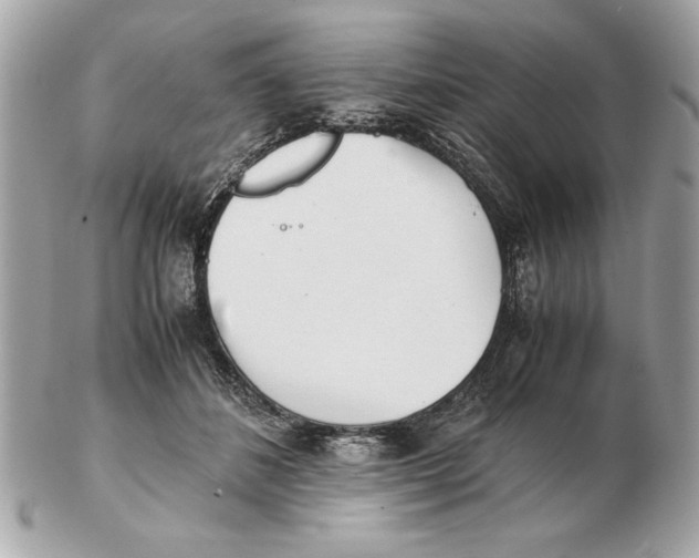 X0000102470508200808291607