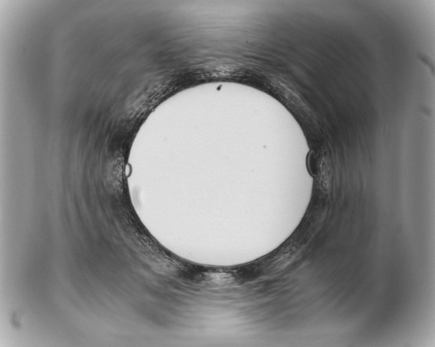 X0000102470509200808291607