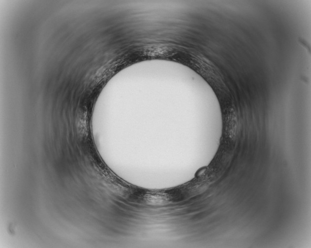 X0000102470510200808291607