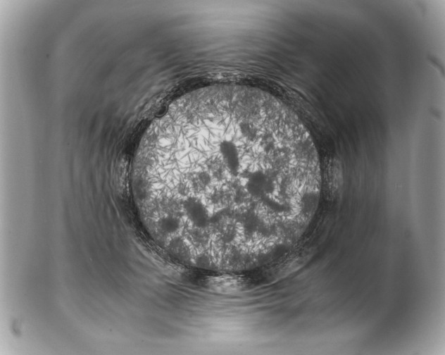 X0000102470511200808291607