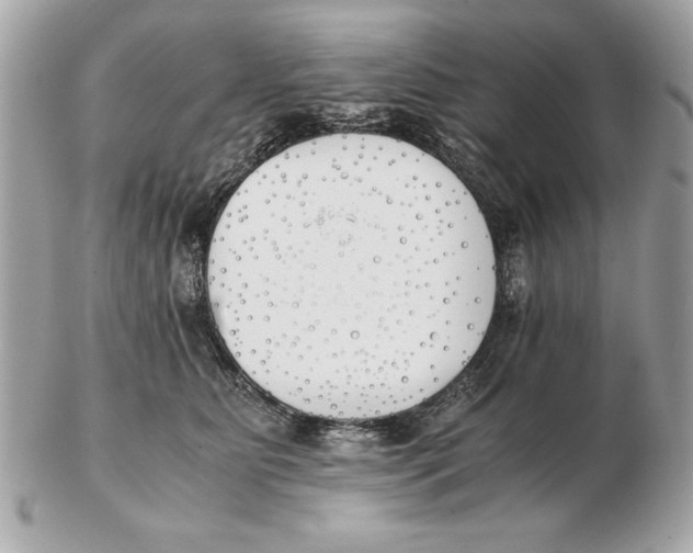X0000102470515200808291607