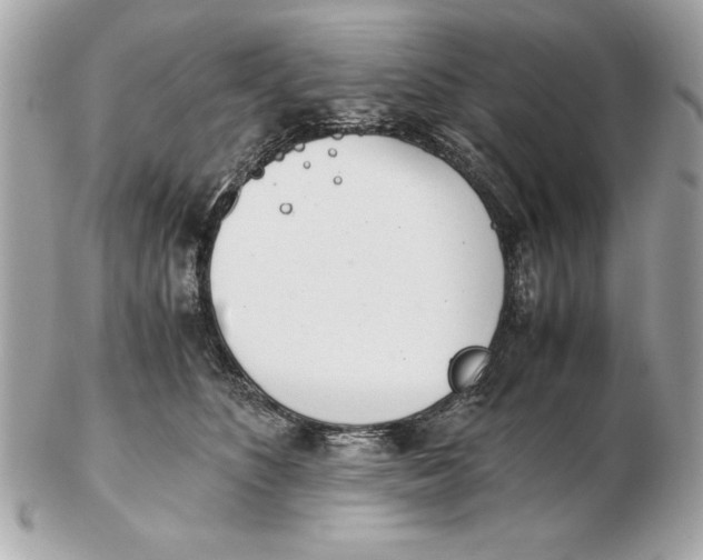X0000102470516200808291607