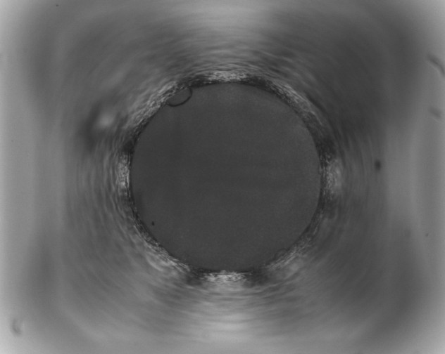 X0000102470517200808291607