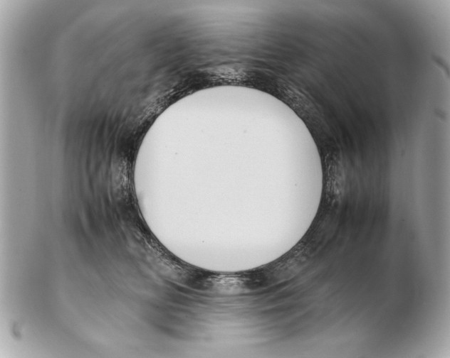 X0000102470518200808291607