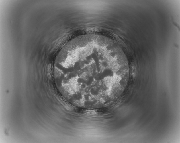 X0000102470519200808291607