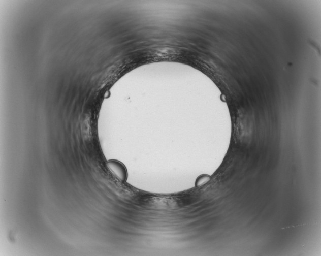 X0000102470520200808291607