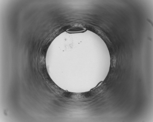 X0000102470521200808291607