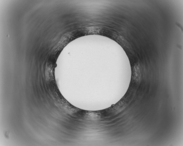 X0000102470522200808291607