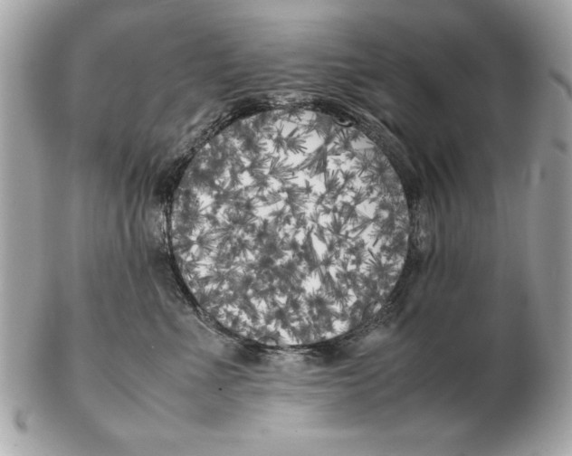 X0000102470523200808291607