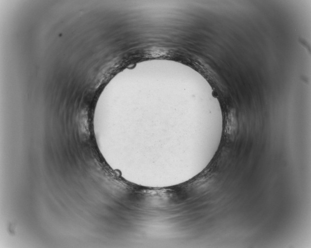 X0000102470524200808291607