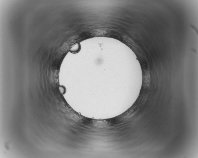 X0000102470525200808291607