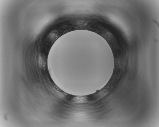 X0000102470526200808291607
