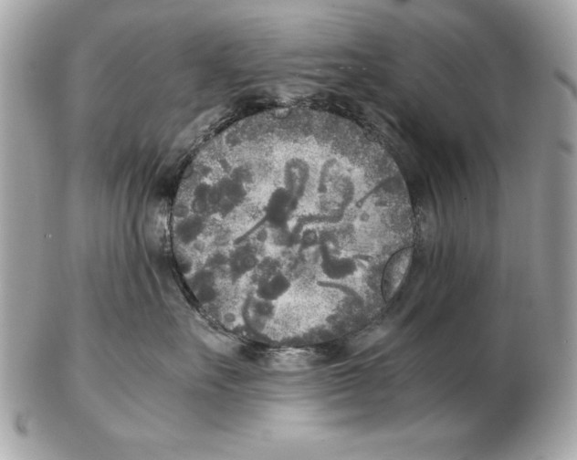 X0000102470527200808291607
