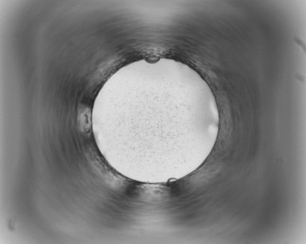 X0000102470528200808291607