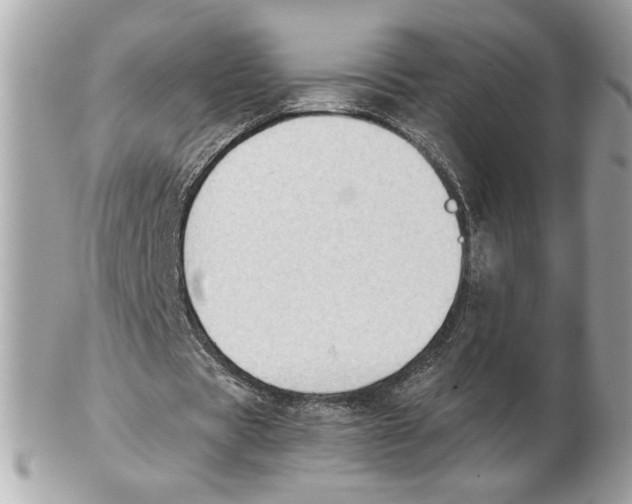 X0000102470529200808291606