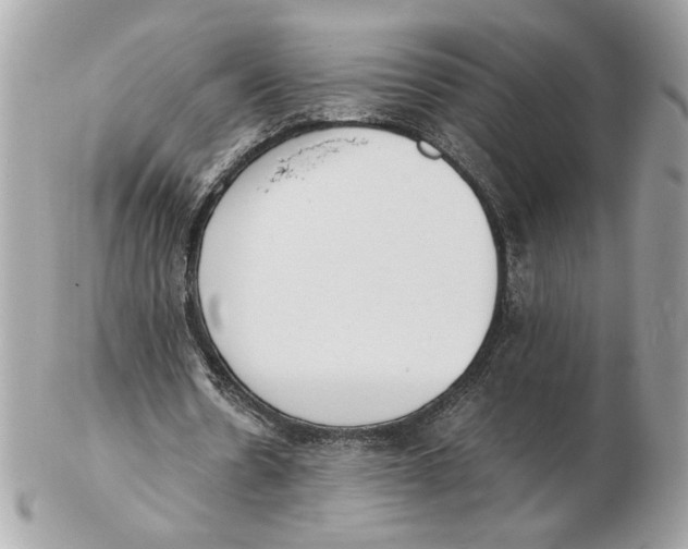 X0000102470530200808291606