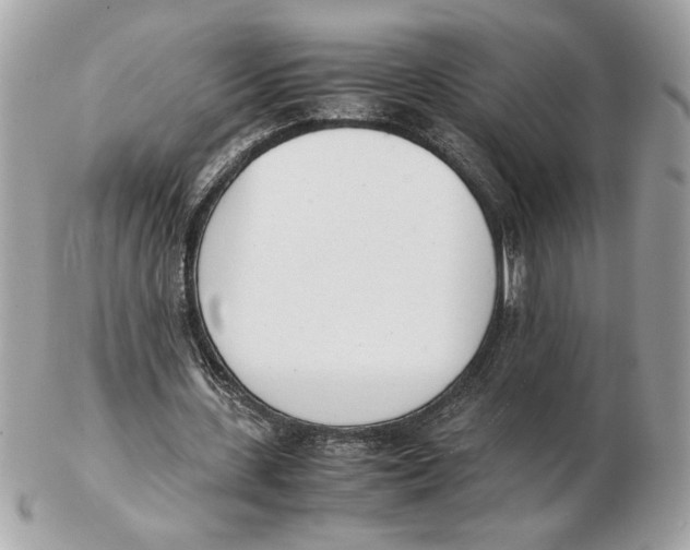 X0000102470531200808291606