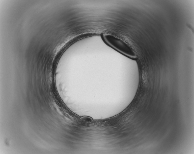 X0000102470532200808291606