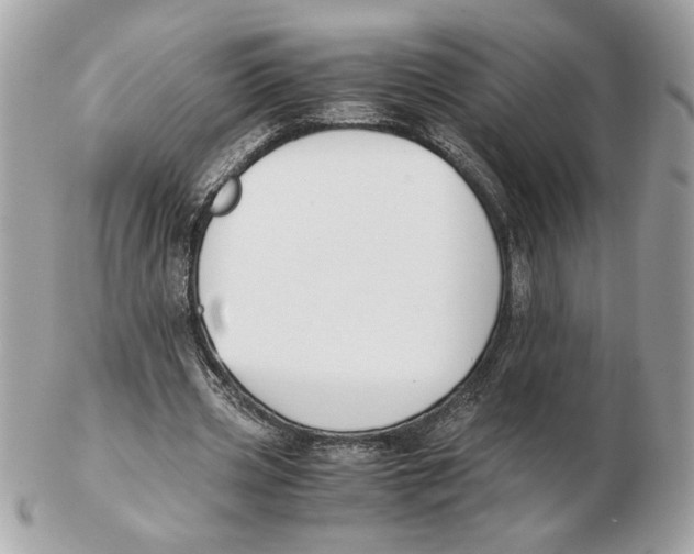 X0000102470533200808291606