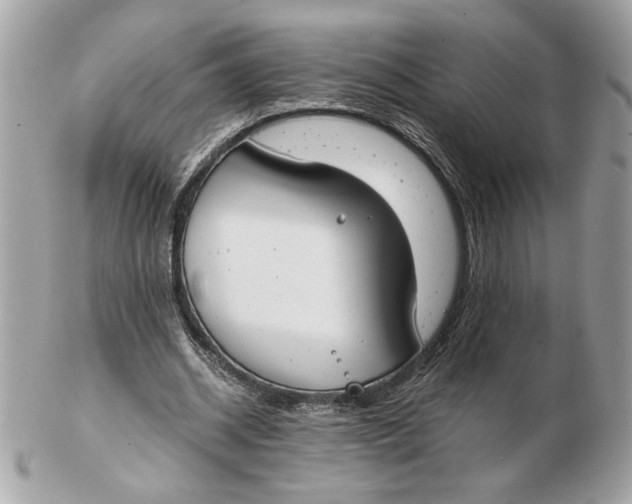 X0000102470534200808291606