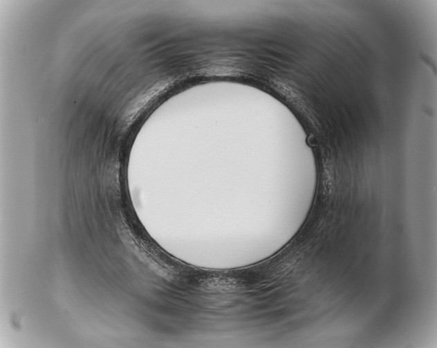 X0000102470535200808291606