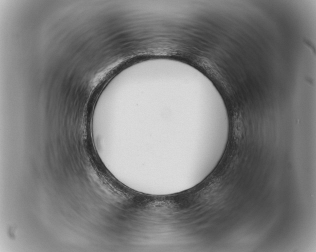 X0000102470536200808291607