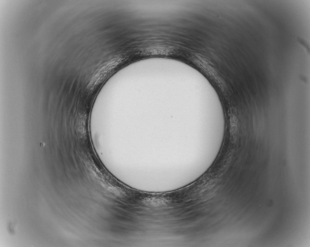 X0000102470537200808291607