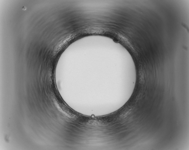 X0000102470538200808291607