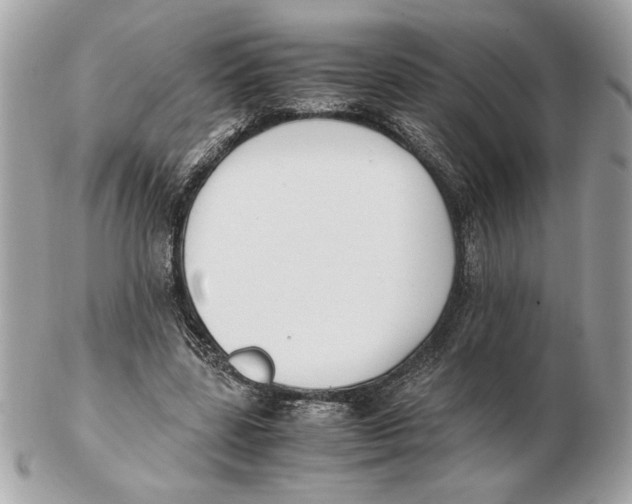 X0000102470539200808291607