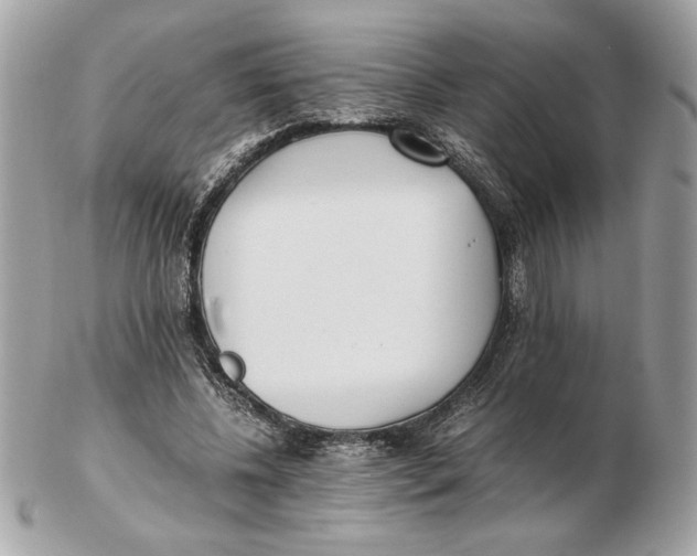 X0000102470540200808291607